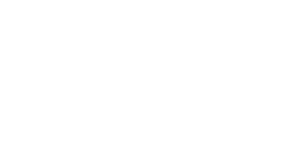 ronesans-holding